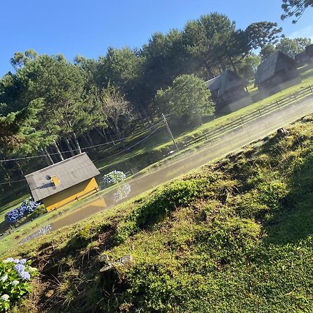 Cabanas Leao Da Tribo De Juda Canela Zewnętrze zdjęcie
